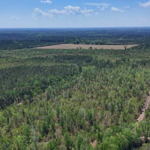 Photo #22 of Lot 7 Guinea Mill Rd, Ernul, NC 39.0 acres