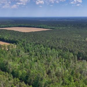 Photo #23 of Lot 7 Guinea Mill Rd, Ernul, NC 39.0 acres