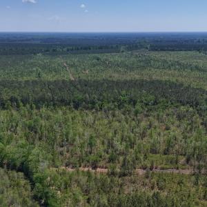Photo #24 of Lot 7 Guinea Mill Rd, Ernul, NC 39.0 acres