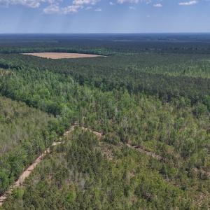 Photo #25 of Lot 7 Guinea Mill Rd, Ernul, NC 39.0 acres