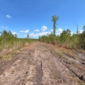 Photo #26 of Lot 7 Guinea Mill Rd, Ernul, NC 39.0 acres