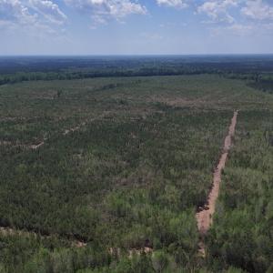 Photo #9 of Lot 12 Guinea Mill Rd, Ernul, NC 35.0 acres