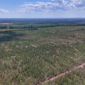 Photo #11 of Lot 12 Guinea Mill Rd, Ernul, NC 35.0 acres