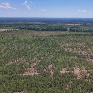 Photo #12 of Lot 12 Guinea Mill Rd, Ernul, NC 35.0 acres