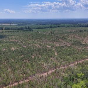 Photo #13 of Lot 12 Guinea Mill Rd, Ernul, NC 35.0 acres