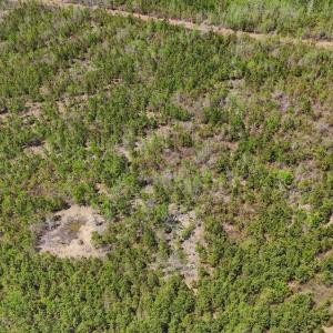 Photo #15 of Lot 12 Guinea Mill Rd, Ernul, NC 35.0 acres