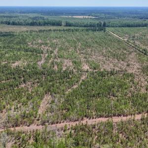 Photo #16 of Lot 12 Guinea Mill Rd, Ernul, NC 35.0 acres