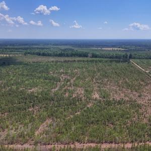 Photo #17 of Lot 12 Guinea Mill Rd, Ernul, NC 35.0 acres
