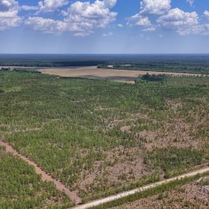 Photo #18 of Lot 12 Guinea Mill Rd, Ernul, NC 35.0 acres