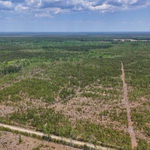 Photo #1 of Lot 12 Guinea Mill Rd, Ernul, NC 35.0 acres