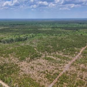 Photo #2 of Lot 12 Guinea Mill Rd, Ernul, NC 35.0 acres