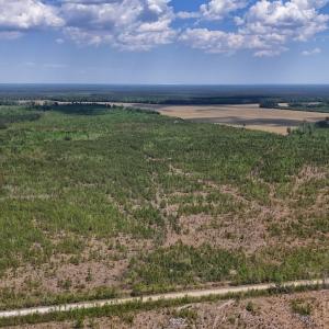 Photo #19 of Lot 12 Guinea Mill Rd, Ernul, NC 35.0 acres