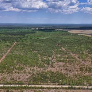 Photo #20 of Lot 12 Guinea Mill Rd, Ernul, NC 35.0 acres