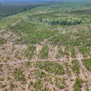 Photo #4 of Lot 12 Guinea Mill Rd, Ernul, NC 35.0 acres