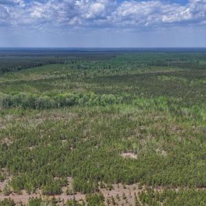 Photo #5 of Lot 12 Guinea Mill Rd, Ernul, NC 35.0 acres