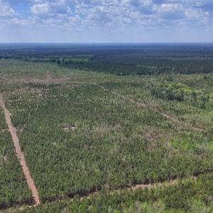 Photo #7 of Lot 12 Guinea Mill Rd, Ernul, NC 35.0 acres