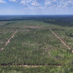 Photo #8 of Lot 12 Guinea Mill Rd, Ernul, NC 35.0 acres