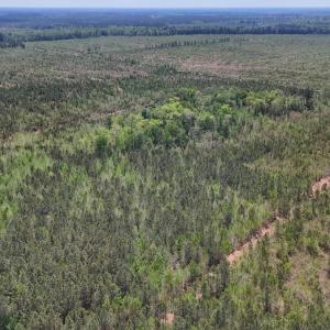 Photo #10 of Lot 13 Guinea Mill Rd, Ernul, NC 35.0 acres