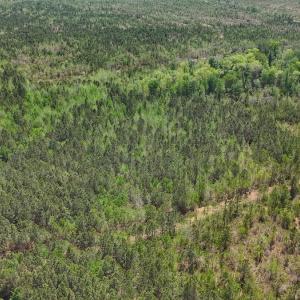 Photo #11 of Lot 13 Guinea Mill Rd, Ernul, NC 35.0 acres