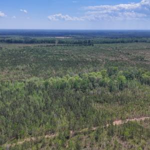 Photo #12 of Lot 13 Guinea Mill Rd, Ernul, NC 35.0 acres