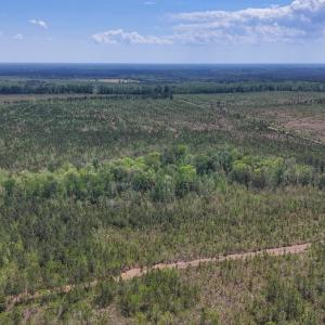 Photo #13 of Lot 13 Guinea Mill Rd, Ernul, NC 35.0 acres