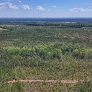 Photo #14 of Lot 13 Guinea Mill Rd, Ernul, NC 35.0 acres