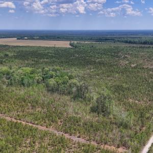 Photo #15 of Lot 13 Guinea Mill Rd, Ernul, NC 35.0 acres