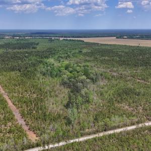 Photo #16 of Lot 13 Guinea Mill Rd, Ernul, NC 35.0 acres