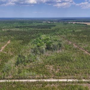 Photo #17 of Lot 13 Guinea Mill Rd, Ernul, NC 35.0 acres