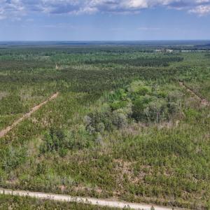 Photo #18 of Lot 13 Guinea Mill Rd, Ernul, NC 35.0 acres