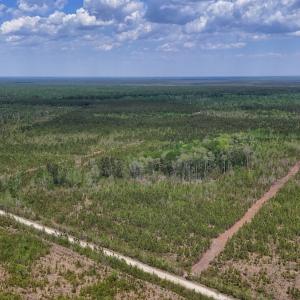 Photo #1 of Lot 13 Guinea Mill Rd, Ernul, NC 35.0 acres