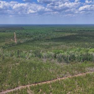 Photo #2 of Lot 13 Guinea Mill Rd, Ernul, NC 35.0 acres