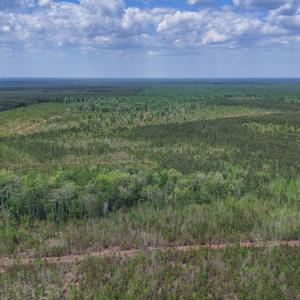 Photo #3 of Lot 13 Guinea Mill Rd, Ernul, NC 35.0 acres