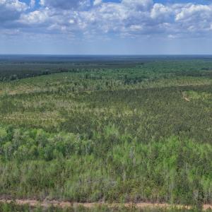 Photo #4 of Lot 13 Guinea Mill Rd, Ernul, NC 35.0 acres