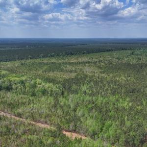 Photo #5 of Lot 13 Guinea Mill Rd, Ernul, NC 35.0 acres