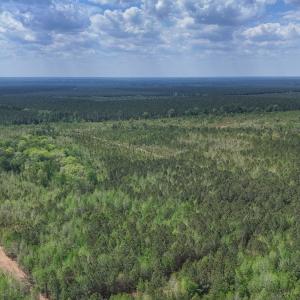 Photo #6 of Lot 13 Guinea Mill Rd, Ernul, NC 35.0 acres