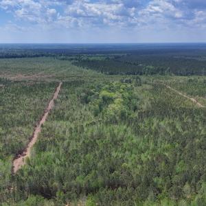 Photo #7 of Lot 13 Guinea Mill Rd, Ernul, NC 35.0 acres