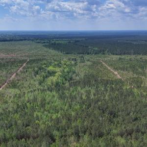 Photo #8 of Lot 13 Guinea Mill Rd, Ernul, NC 35.0 acres