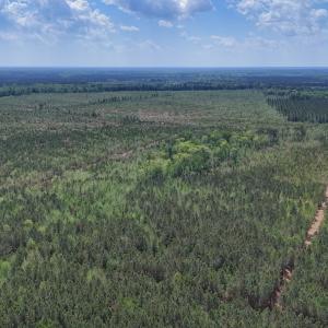 Photo #9 of Lot 13 Guinea Mill Rd, Ernul, NC 35.0 acres