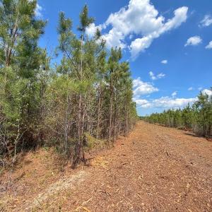 Photo #25 of Lot 13 Guinea Mill Rd, Ernul, NC 35.0 acres