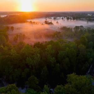 Photo #1 of Off of Durwood Evans Rd. , Beulaville, NC 174.7 acres