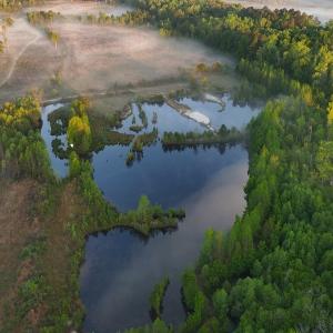 Photo #11 of Off of Durwood Evans Rd. , Beulaville, NC 174.7 acres