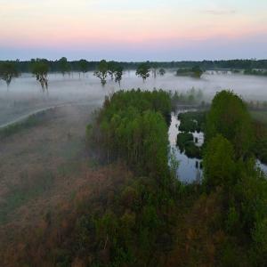 Photo #15 of Off of Durwood Evans Rd. , Beulaville, NC 174.7 acres