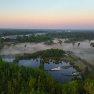 Photo #16 of Off of Durwood Evans Rd. , Beulaville, NC 174.7 acres