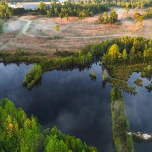 Photo #17 of Off of Durwood Evans Rd. , Beulaville, NC 174.7 acres