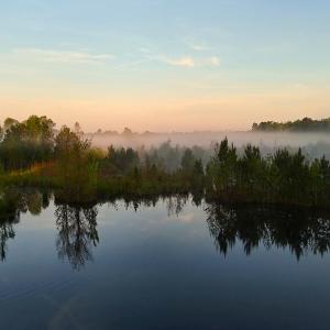 Photo #19 of Off of Durwood Evans Rd. , Beulaville, NC 174.7 acres