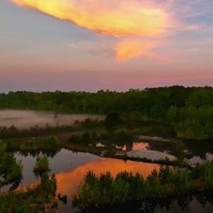 Photo #2 of Off of Durwood Evans Rd. , Beulaville, NC 174.7 acres