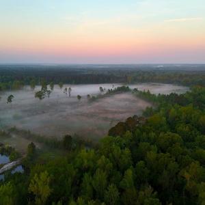 Photo #20 of Off of Durwood Evans Rd. , Beulaville, NC 174.7 acres