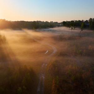 Photo #21 of Off of Durwood Evans Rd. , Beulaville, NC 174.7 acres