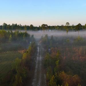 Photo #22 of Off of Durwood Evans Rd. , Beulaville, NC 174.7 acres